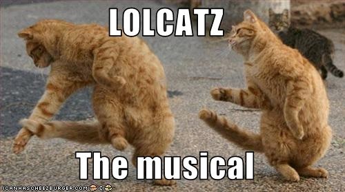Cats in a musical