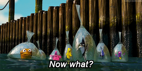 finding nemo now what