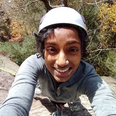 twitter profile pic of a web developer I know
