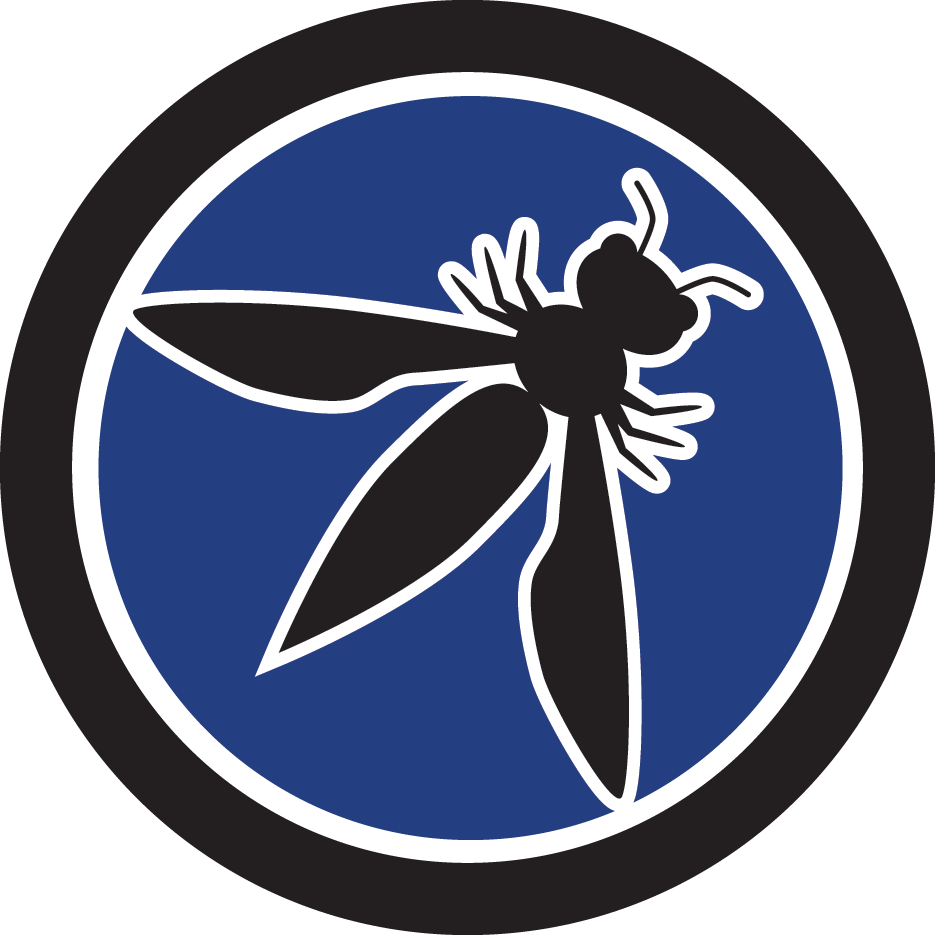 owasp logo